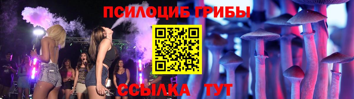 Псилоцибиновые грибы Psilocybine cubensis  Вход с VPN  Касимов 